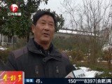 Զûͬ  аϵ