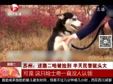 1ʱ-20180102